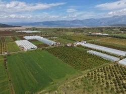 Field For sale in Eskiköy Nbh. Ortaca - Field Zoned - 16.000 m²