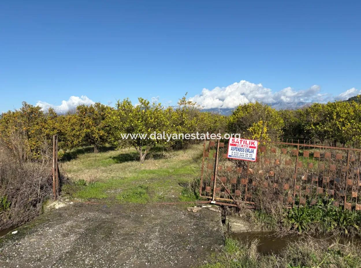 23,000M2 Detached Field Garden For Sale In Tepearasin,