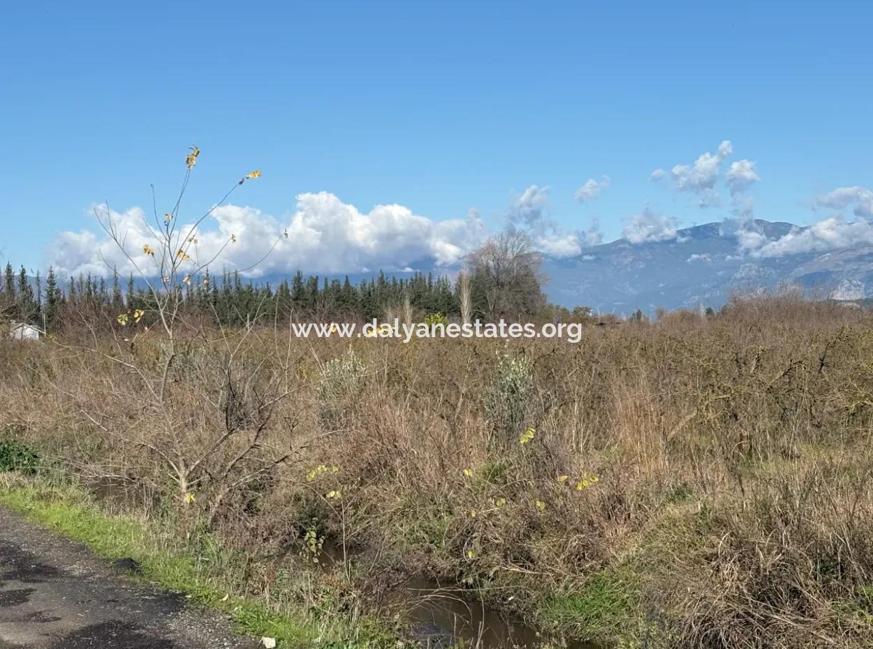 23,000M2 Detached Field Garden For Sale In Tepearasin,