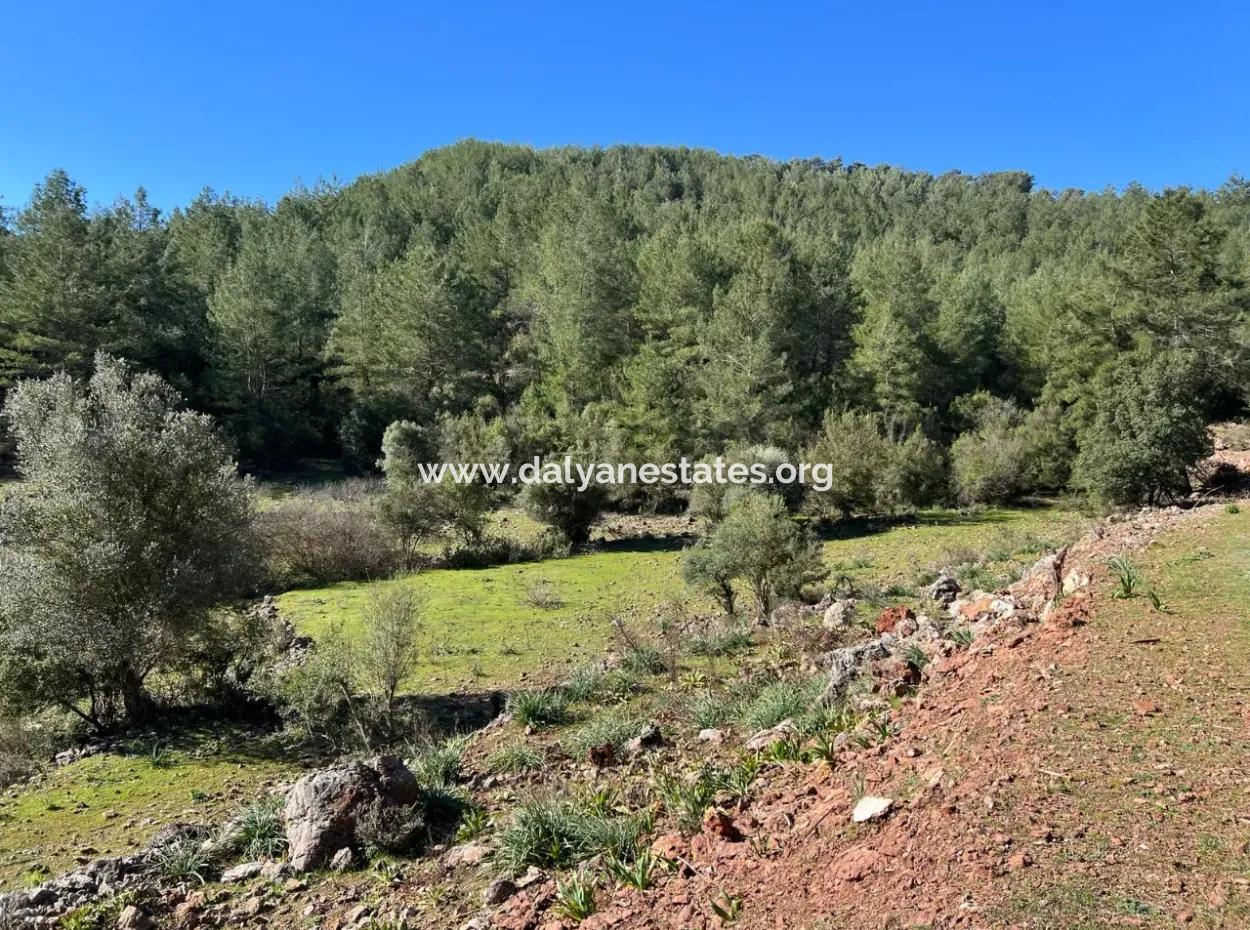 Land For Sale In Nature And Forest In Gökbel