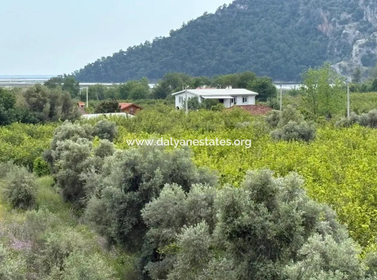 1,721M2 Land For Sale In Çandır Village With Sea And Lake Views