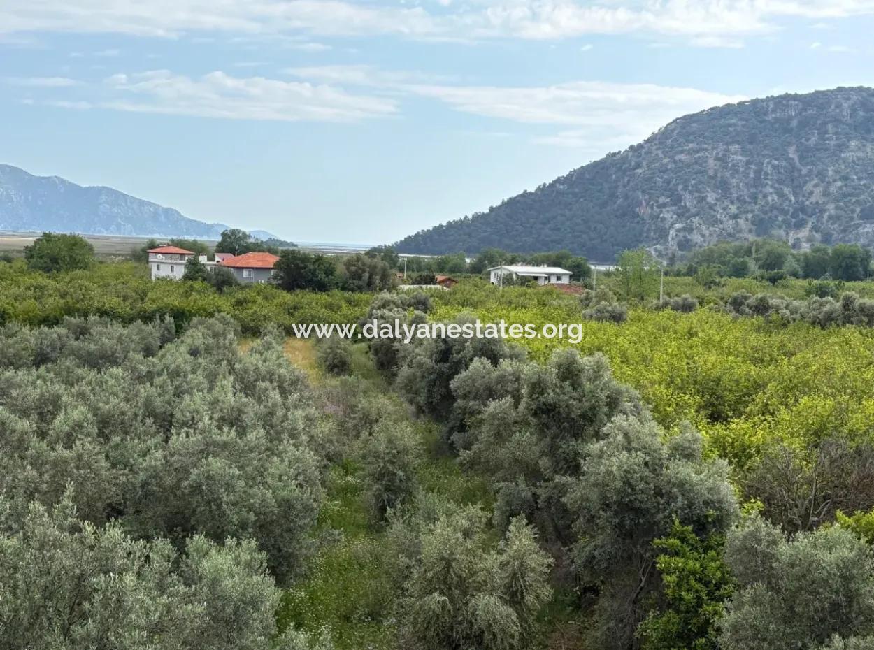 1,721M2 Land For Sale In Çandır Village With Sea And Lake Views