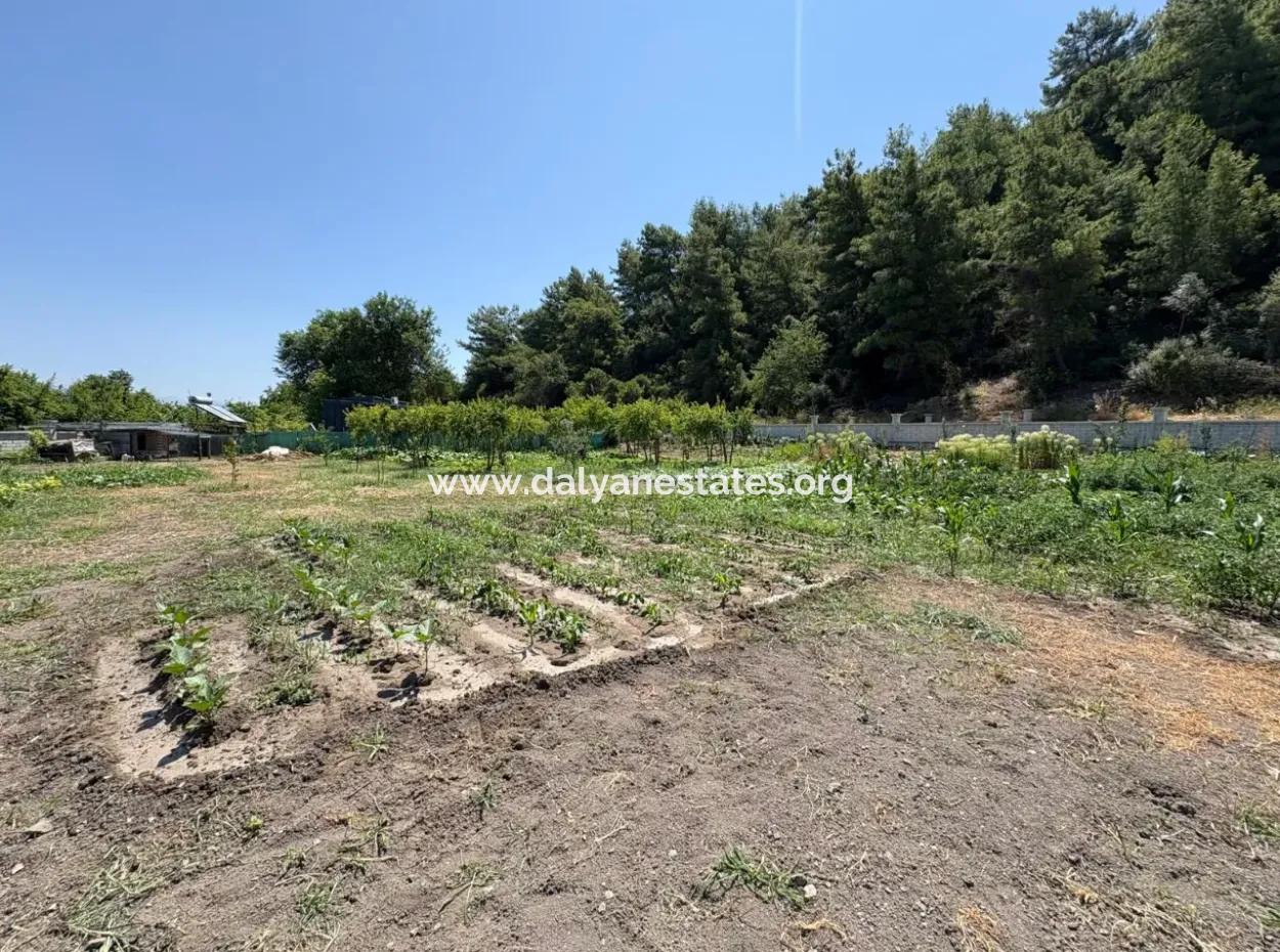 120M2 Detached Wooden House In A 2500M2 Field In Dalyan Karadağ