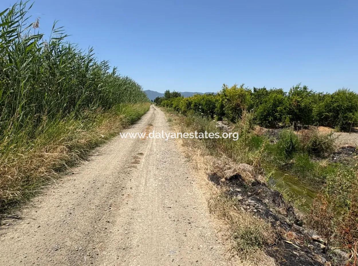 46,550M2 Land For Sale In Tepearası