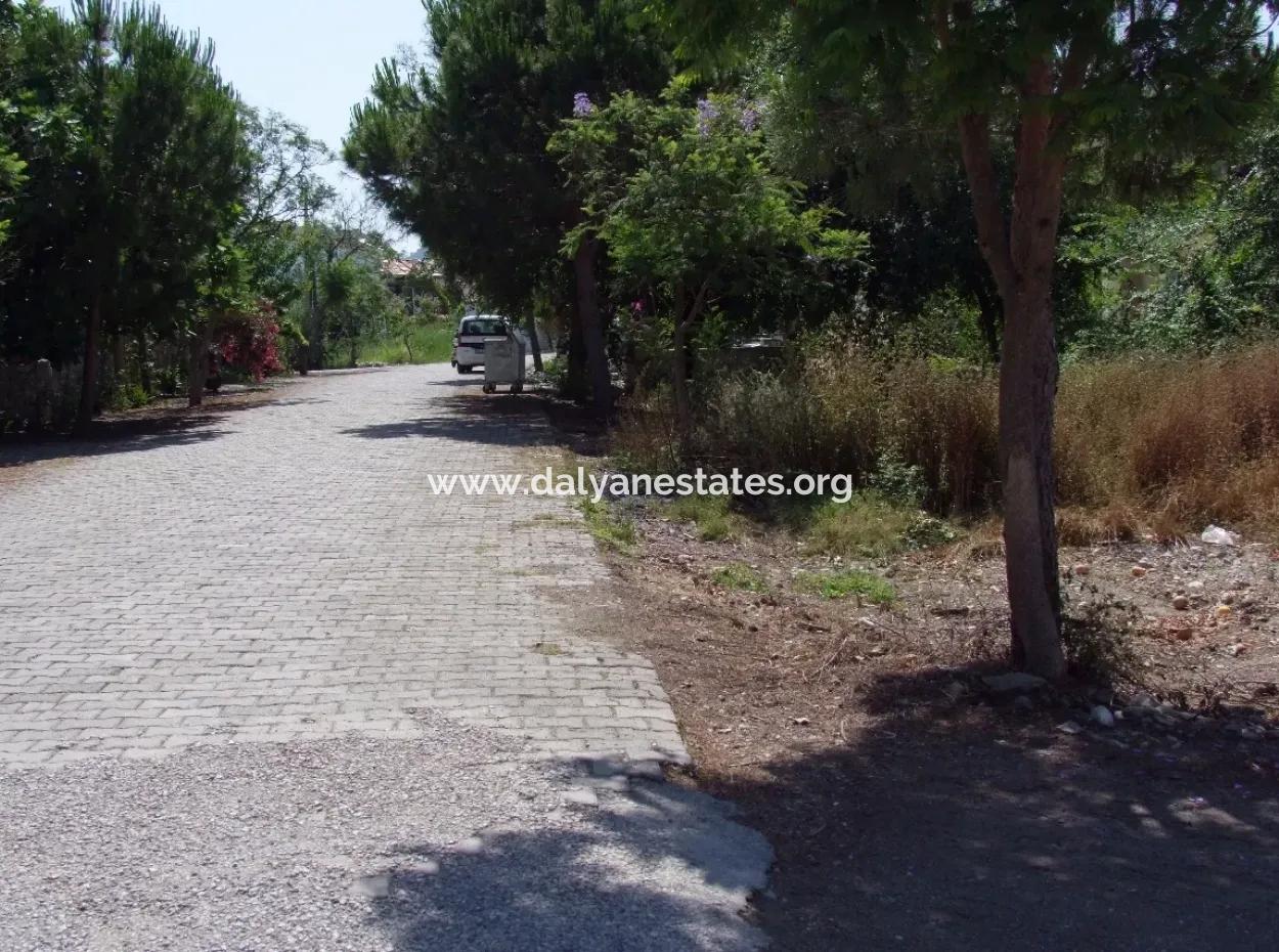 Gurpinar In Dalyan For Sale Dalyan Land For Sale, Plot For Sale In Köşebaşı 993M2 0 60