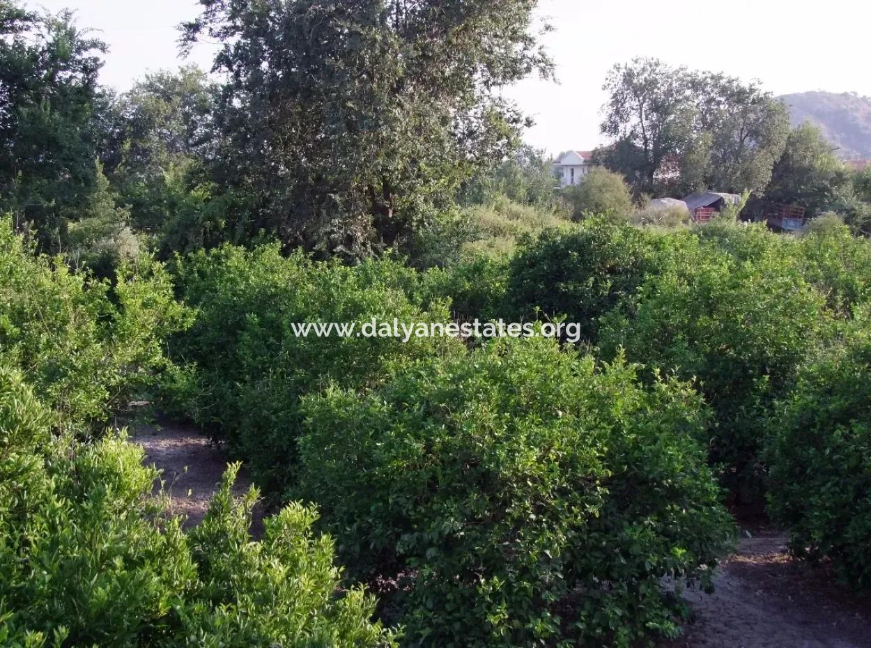 Near The Centre Of Dalyan In Dalyan Plot For Sale For Sale 987M2