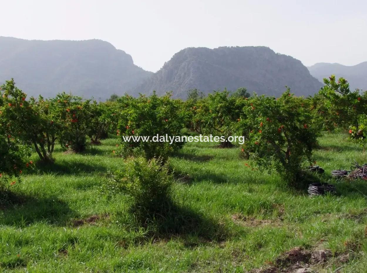 Merkez Dalyan Iztuzu Lake Garden Villa For Sale