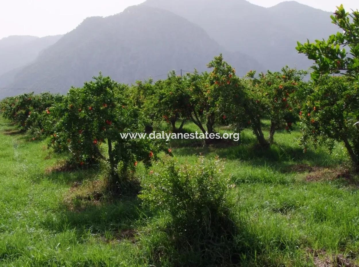 Merkez Dalyan Iztuzu Lake Garden Villa For Sale