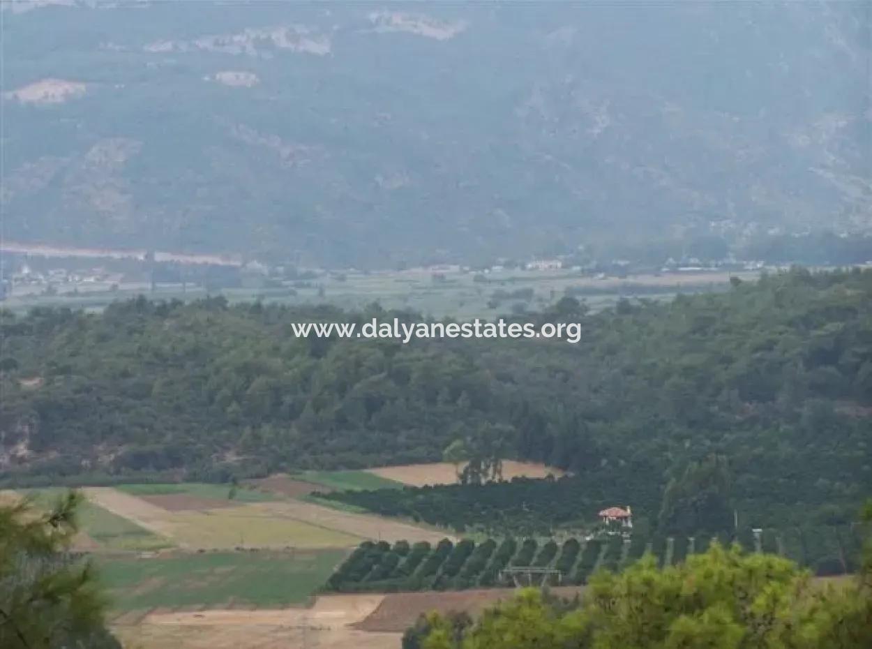 Gökçe Gökçe 21671M2 Farm For Sale For Sale