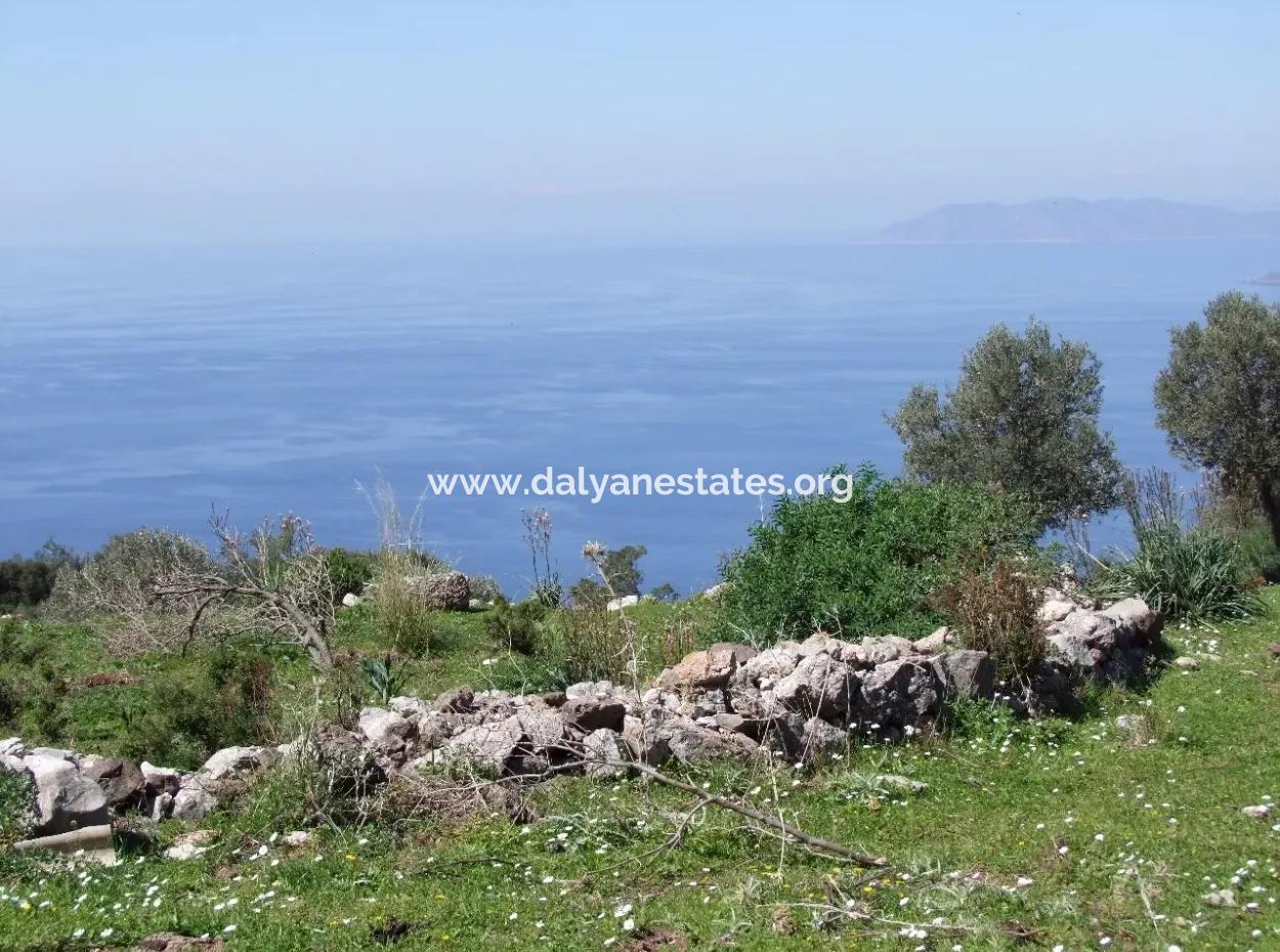 Land For Sale In Faralya With Full Sea View For Sale