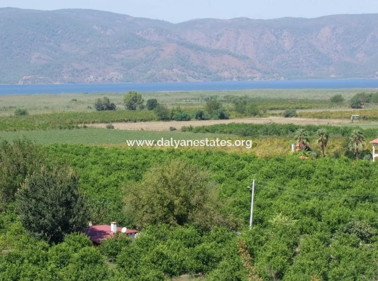 For Sale Farm For Sale In Dalyan 73410M2