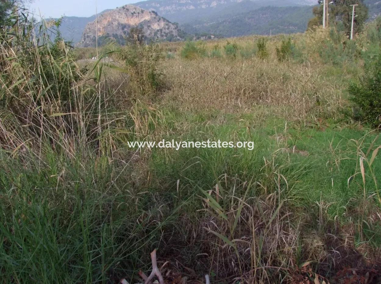 For Sale Land In Dalyan For Sale Dalyan Channel Zero