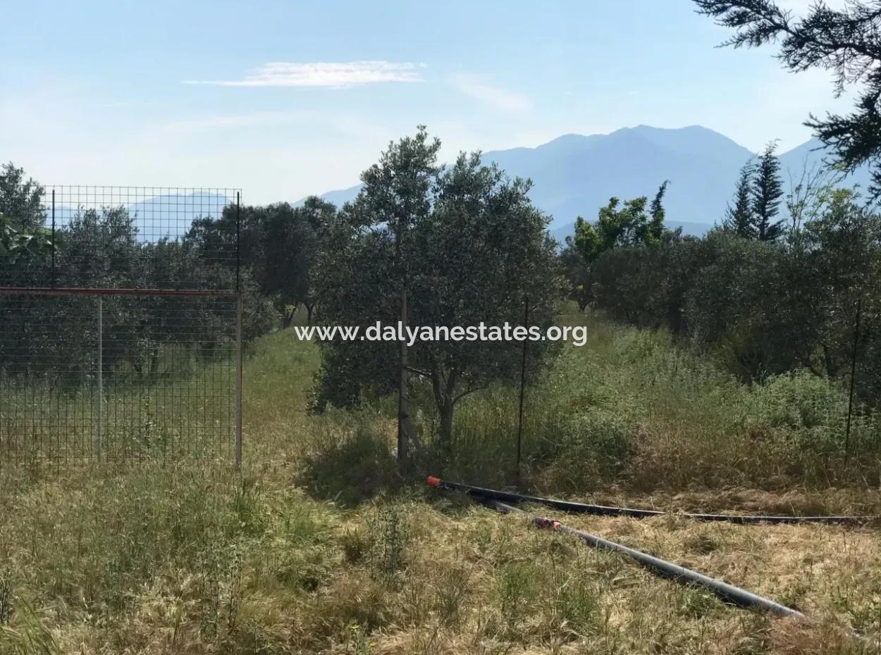 Land For Sale In Seydikemer Korubuku 76000M2