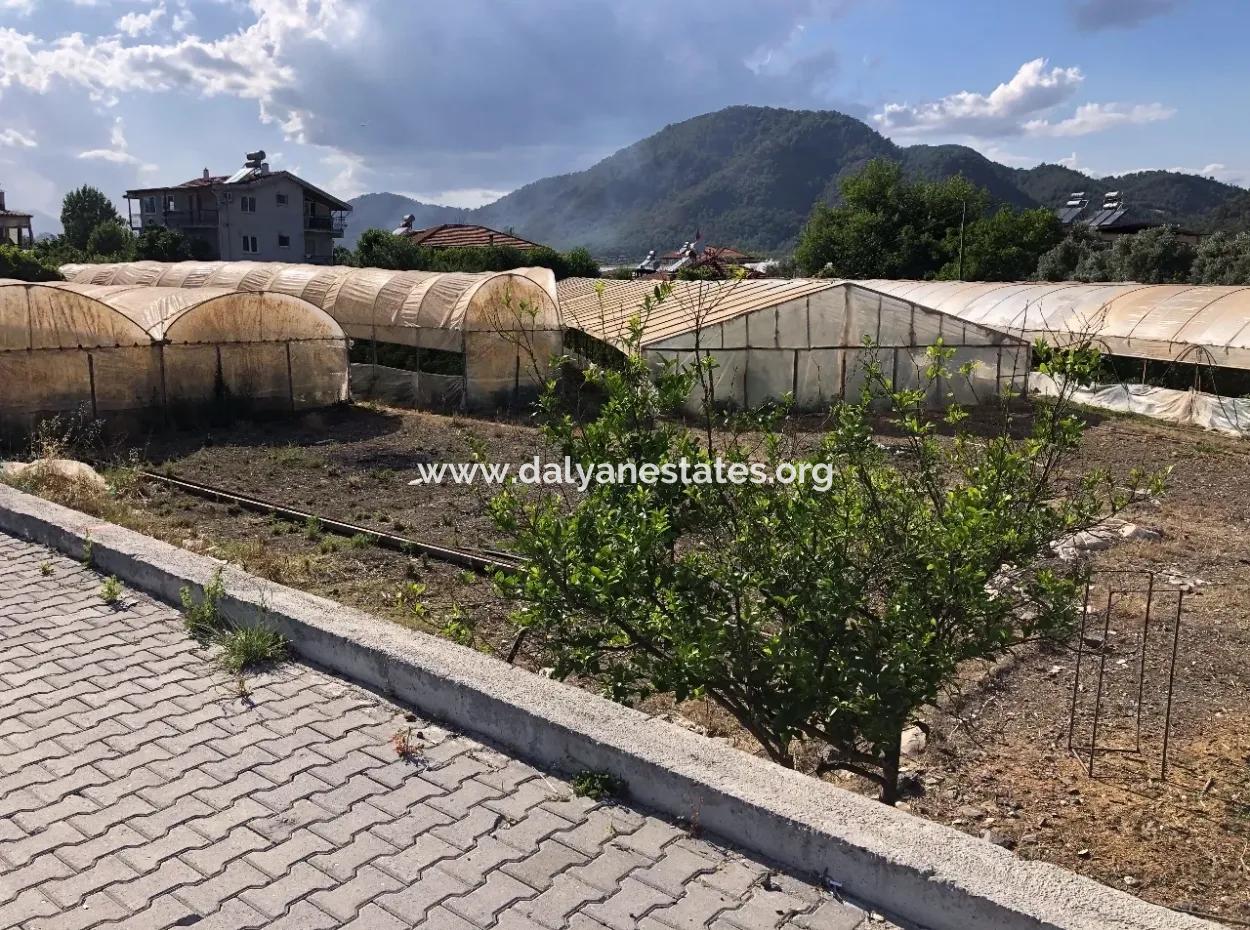 Oriya 560 560 Sq Ft Plot For Sale Commercial Land Main Road For Sale Eksiliyurt Zero