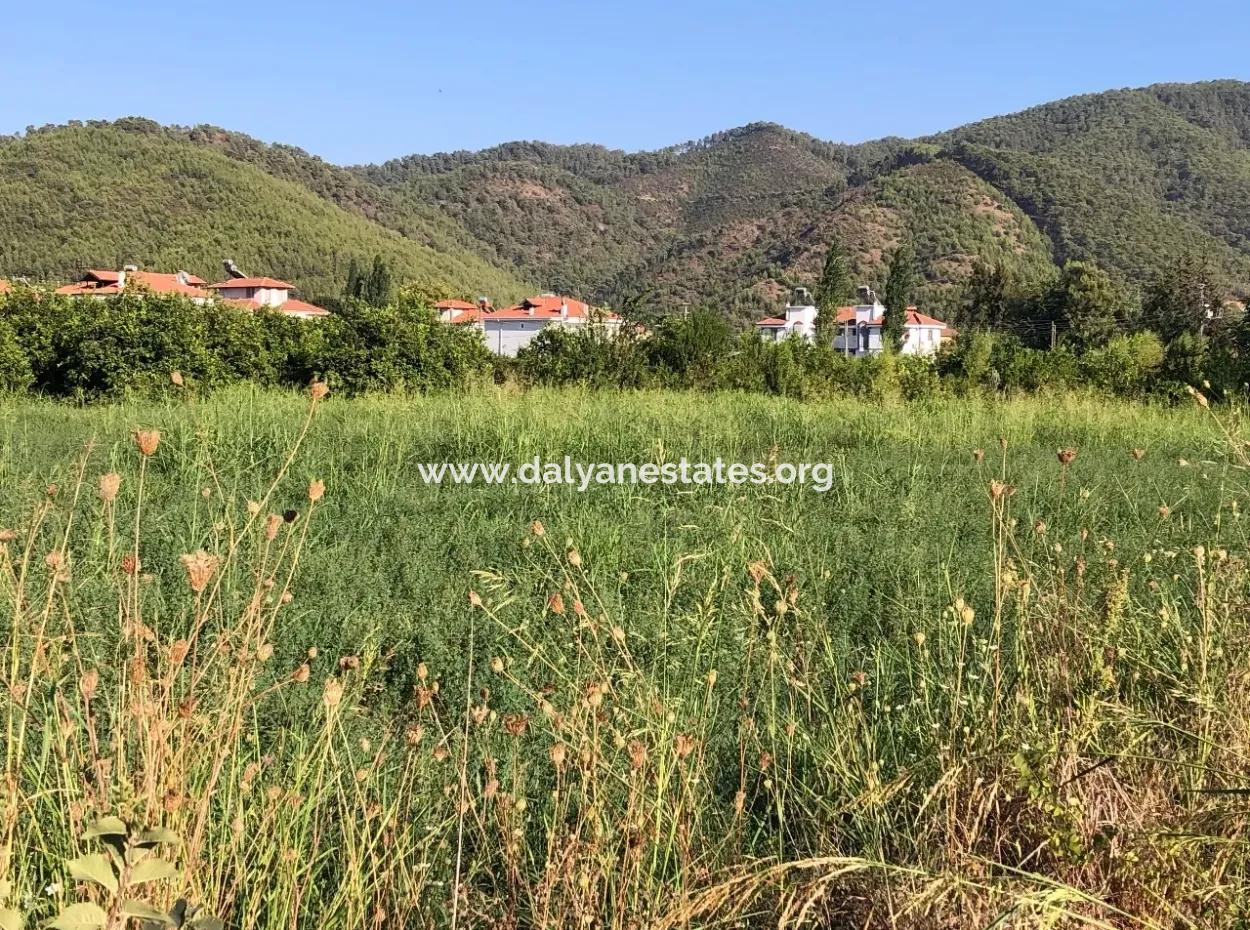 Land For Sale In The Center 891M2 Land For Sale