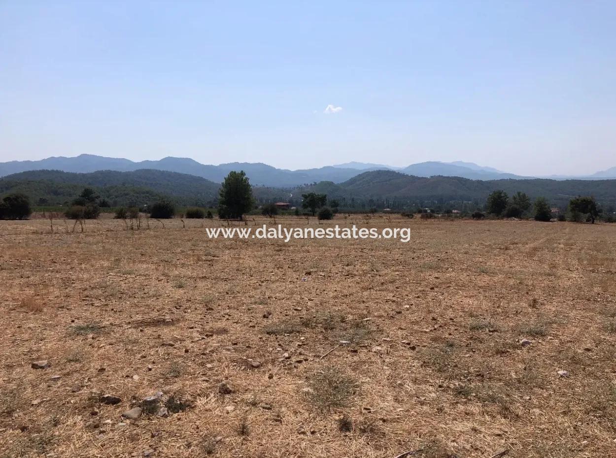 11.227M2 Land For Sale With Lake Views In Köyceğiz Zeytinalanı