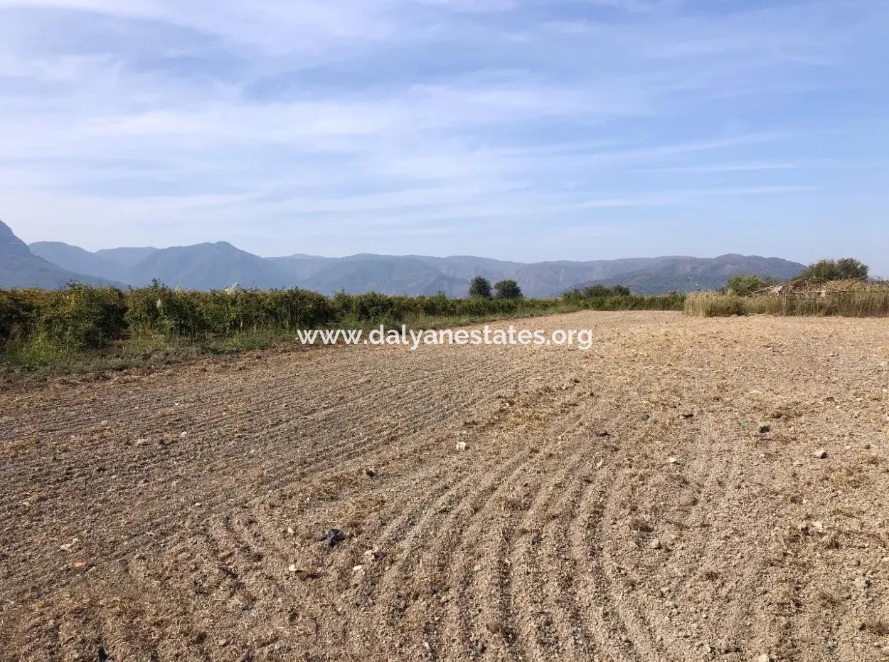 Land For Sale In Esköy 8500M2 Field Land For Sale