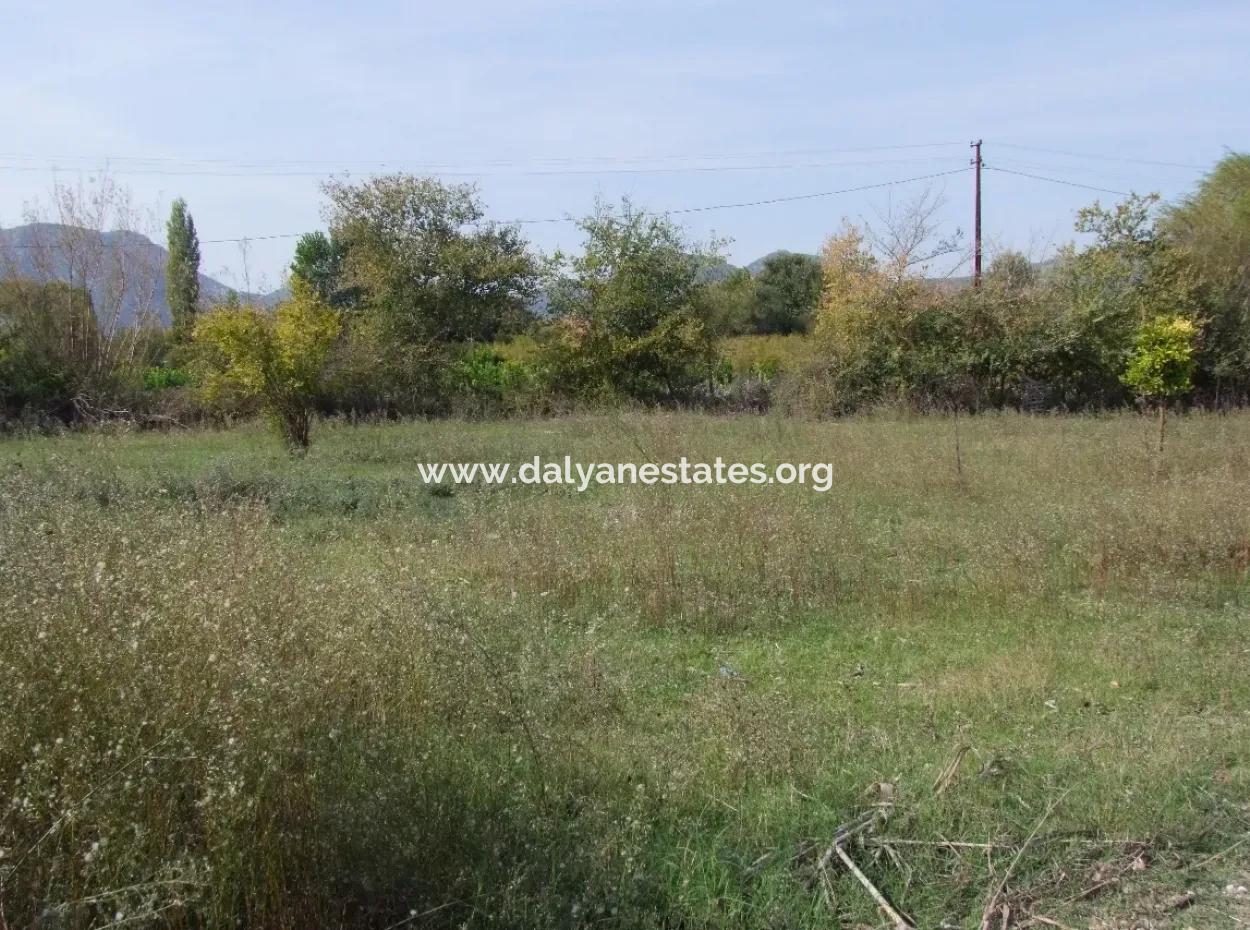Land For Sale In Guzelyurt Land For Sale Zero 5515M2 Land For Sale On The Main Road