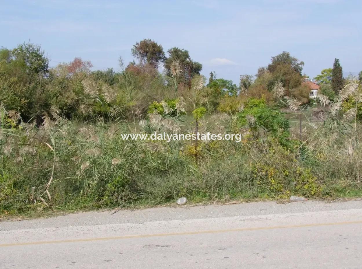 Land For Sale In Guzelyurt Land For Sale Zero 5515M2 Land For Sale On The Main Road