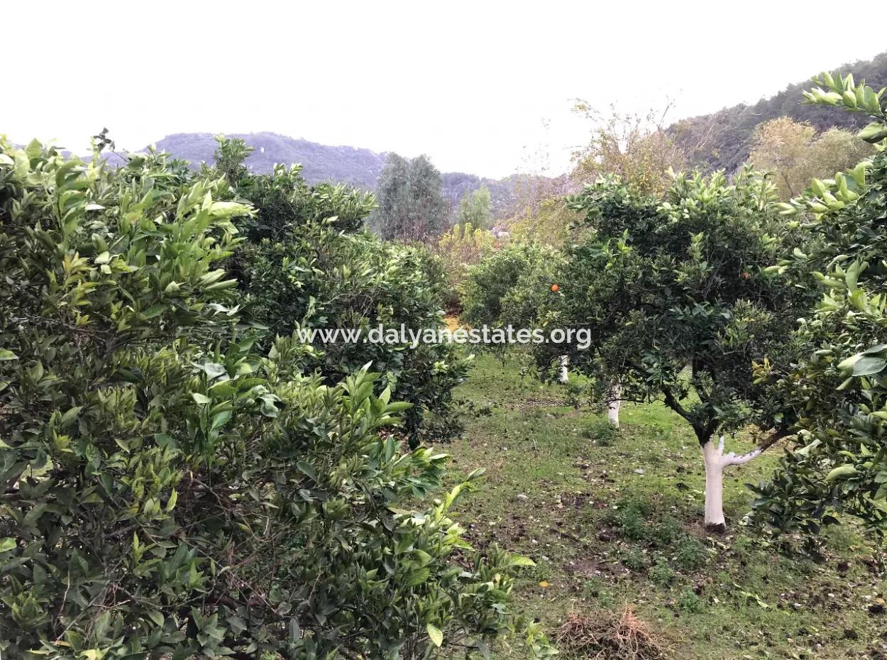 Single-Storey Detached House For Sale In 1222M2 Plot In Archers