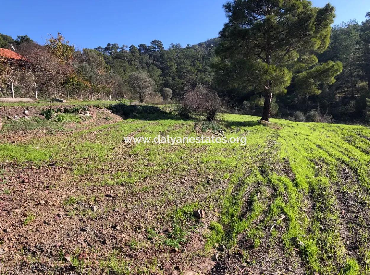 Gokbel Land For Sale 8000M2 Land For Sale With Full Sea View