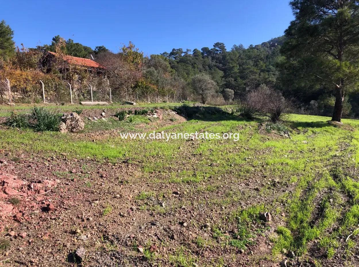 Gokbel Land For Sale 8000M2 Land For Sale With Full Sea View