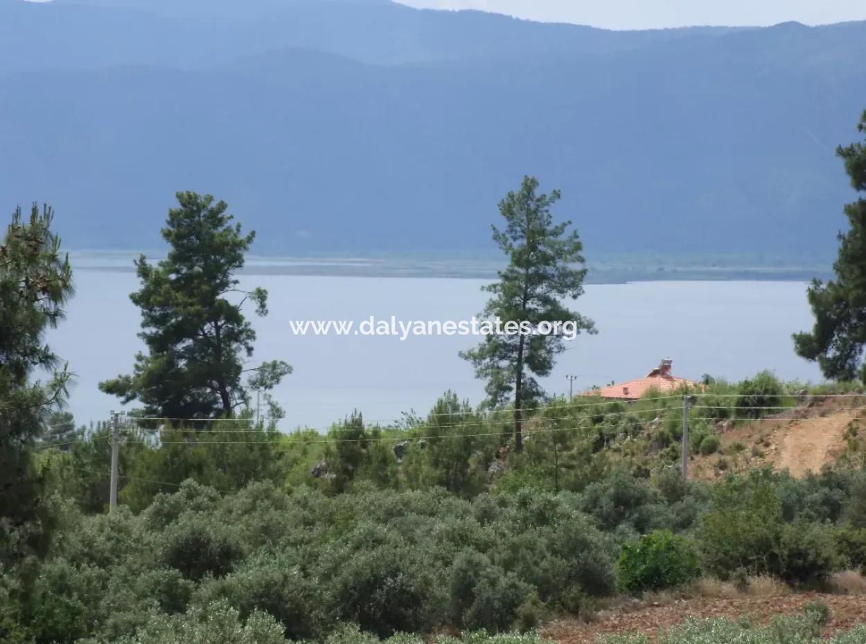 Luxury Villa For Sale In Zeytinalanda Köyceğinz Zeytınalanda 6800M2 Land Villa For Sale With Full Lake View