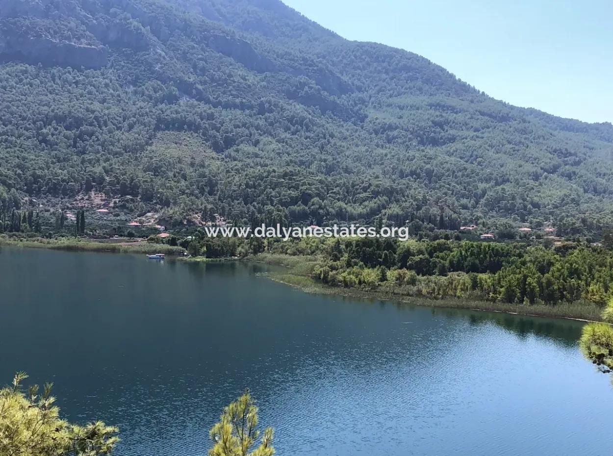 Sultaniye Land For Sale Near 10577M2 Lake Land For Sale