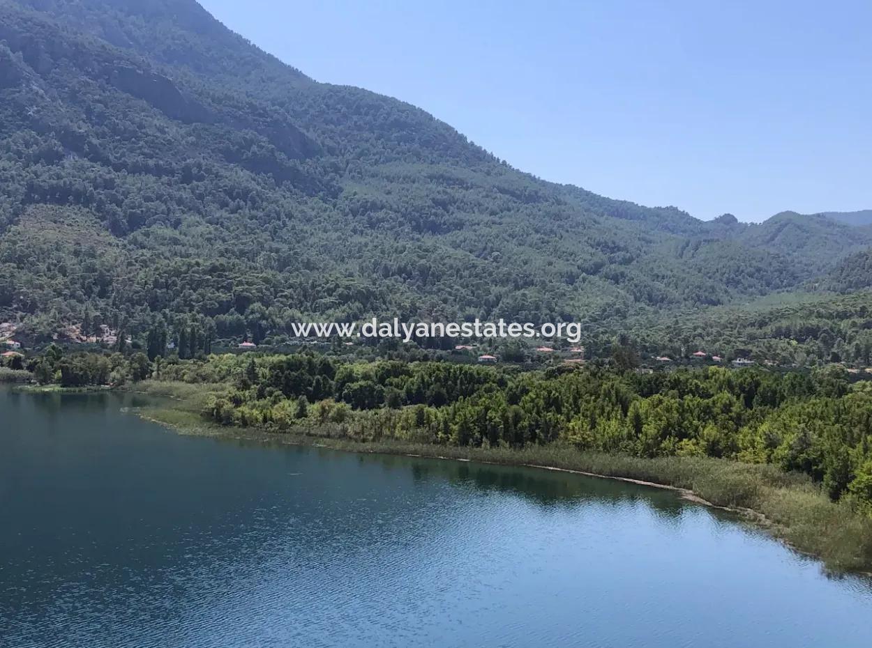 Sultaniye Land For Sale Near 10577M2 Lake Land For Sale
