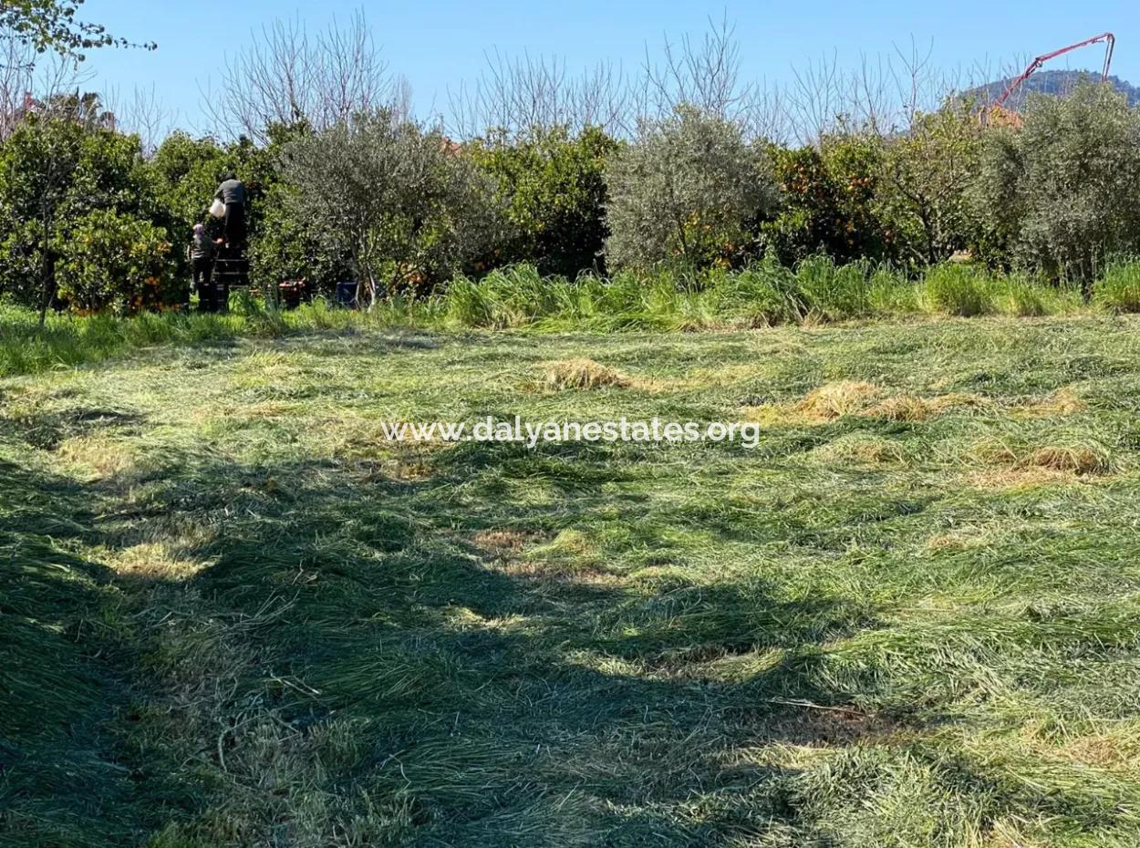 3700M2 Land For Sale In Dalyan