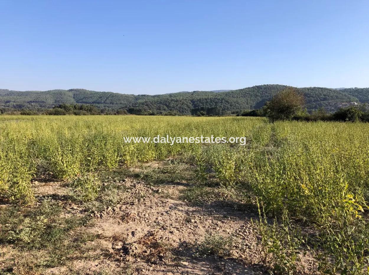 For Sale In Akçapinar 100 Acres For Sale