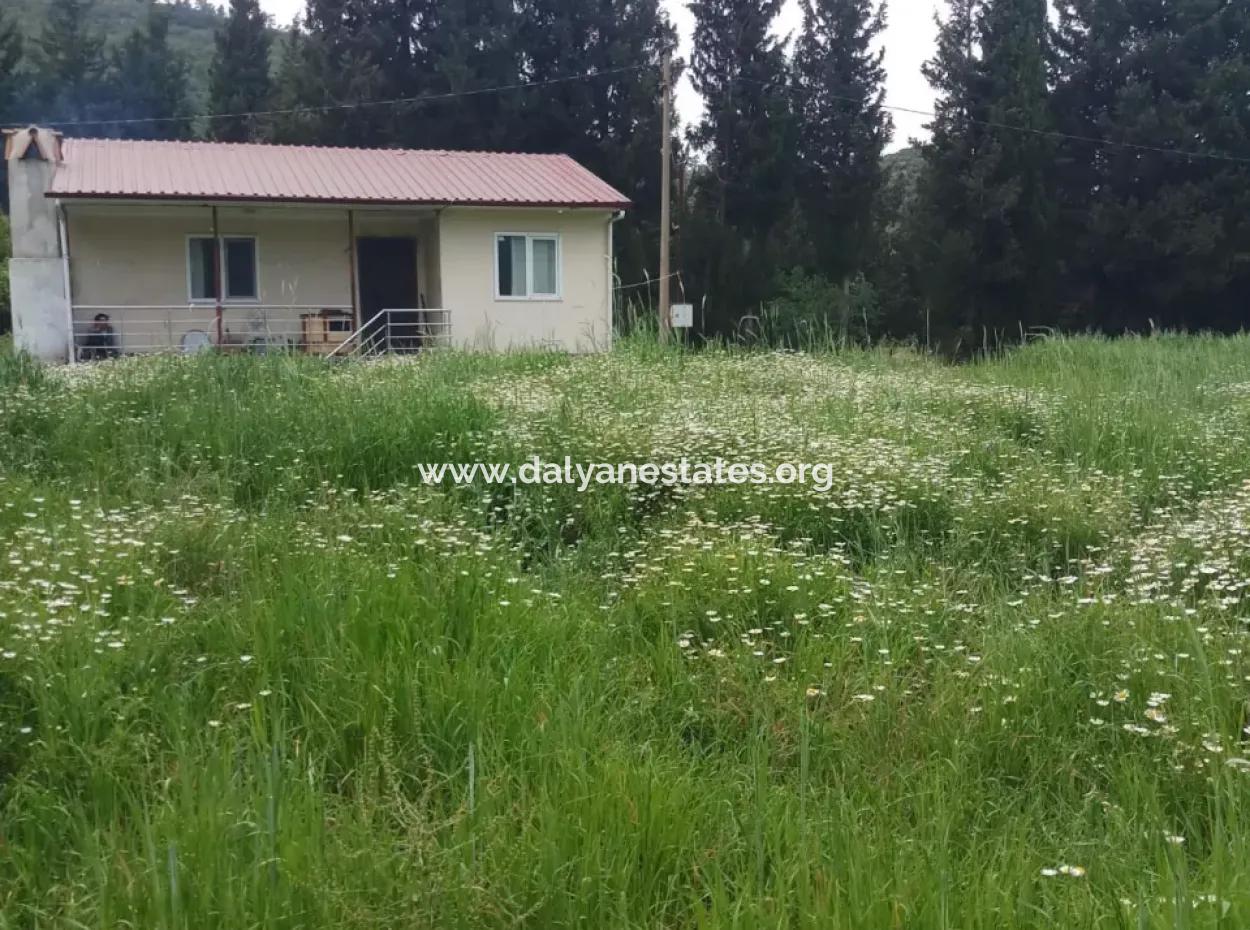 Land For Sale In Çamlida