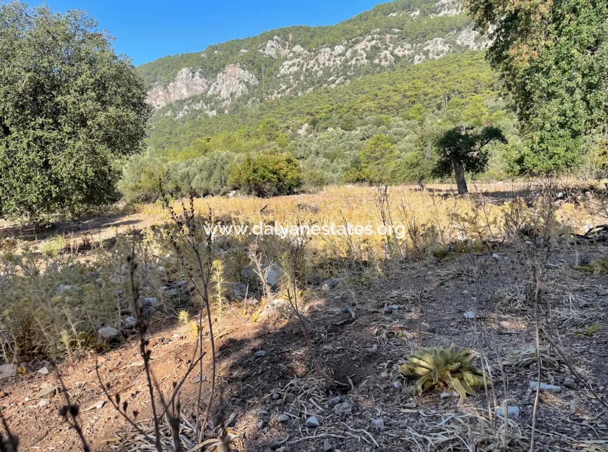 2620M2 Land Field For Sale With Sea View Of Çandir