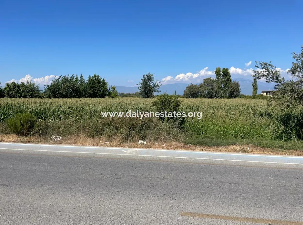 Dalyan Main Road Zero Land For Sale 8115M2 Commercial Land For Sale