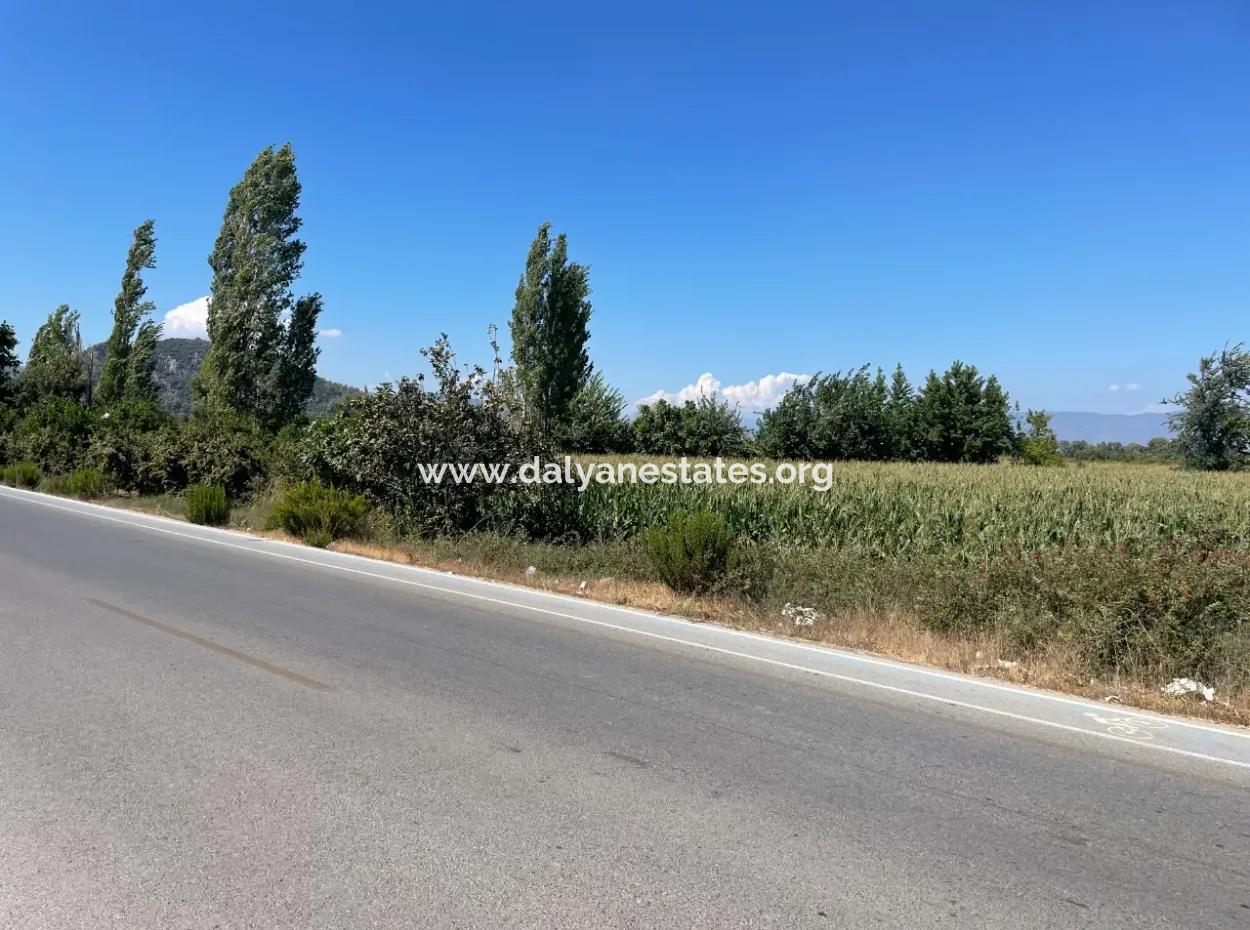 Dalyan Main Road Zero Land For Sale 8115M2 Commercial Land For Sale