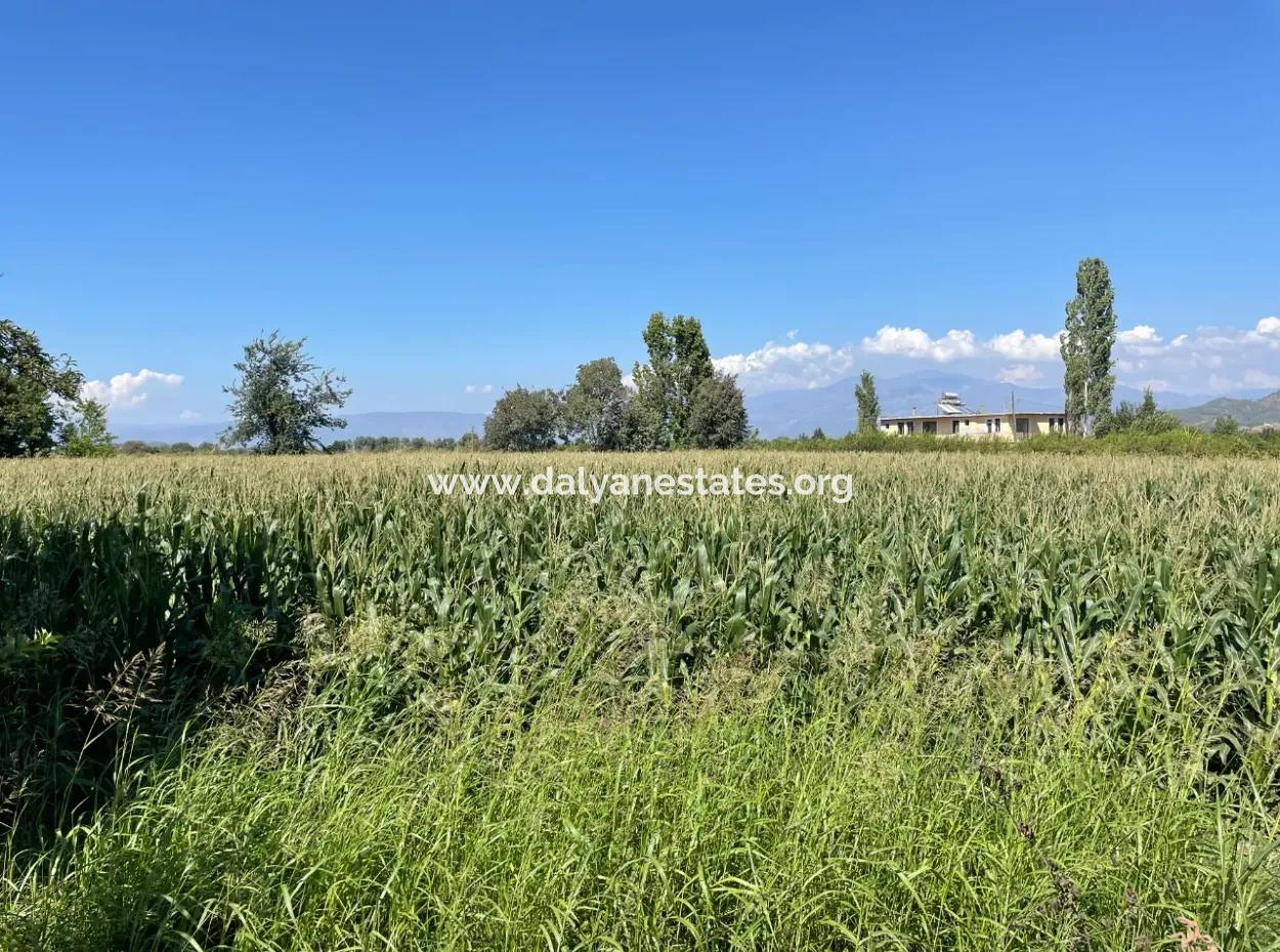 Dalyan Main Road Zero Land For Sale 8115M2 Commercial Land For Sale