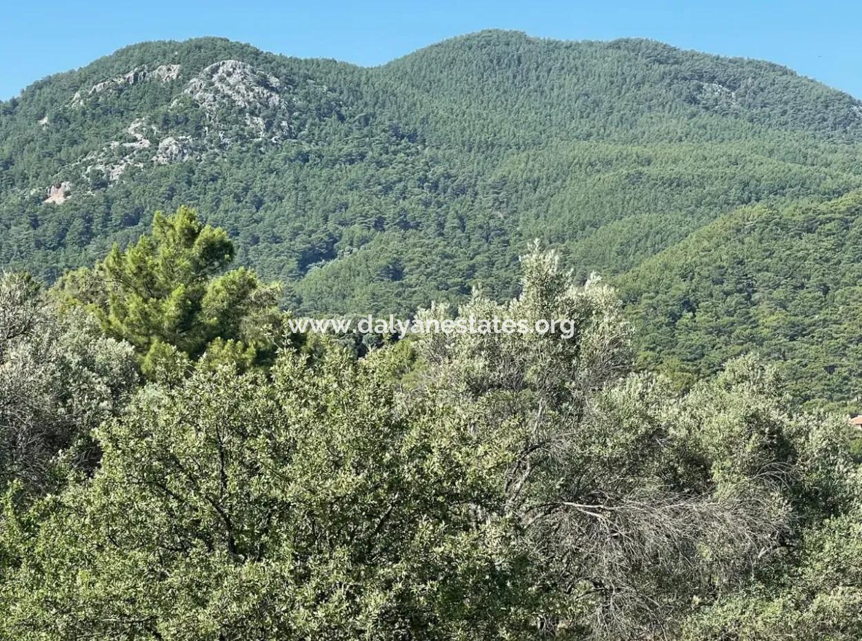 Land For Sale With Sea View In Gokbel