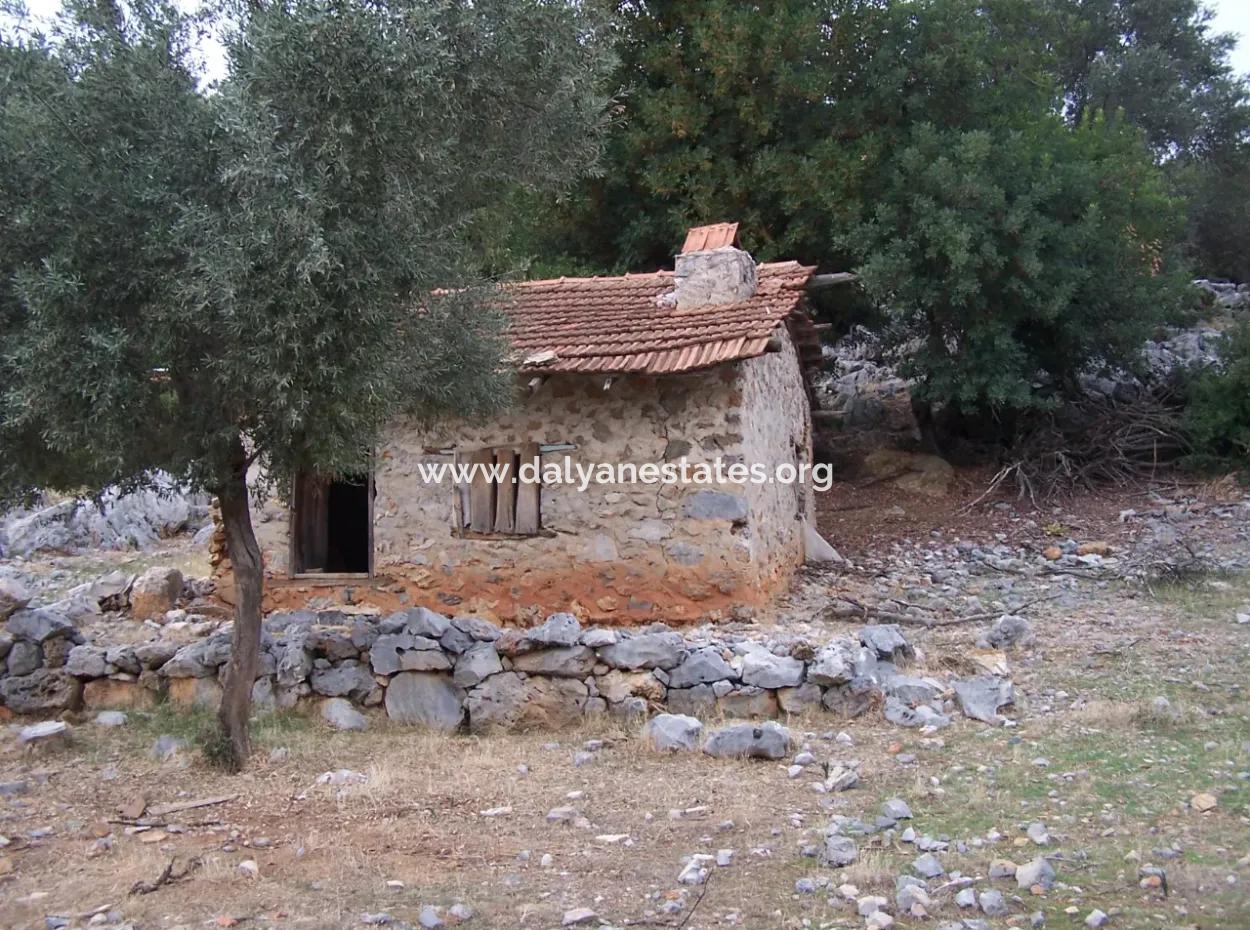 House For Sale In Sarsalada Sea View 4274M2 Plot