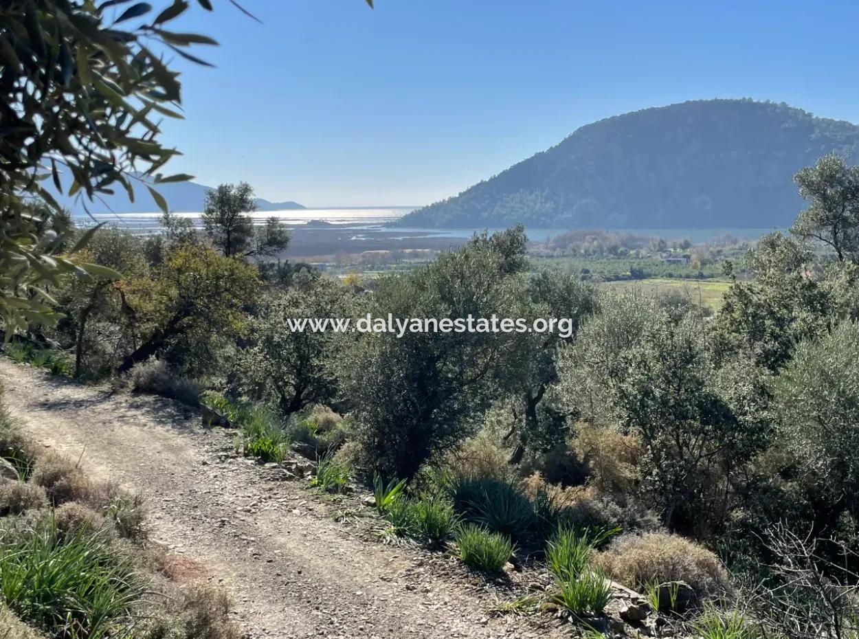 950M2 2B Field For Sale With Sea And Lake View In Çandır