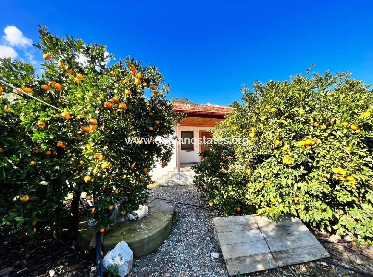 One-Storey House For Sale In 5000M2 Land In Çandır