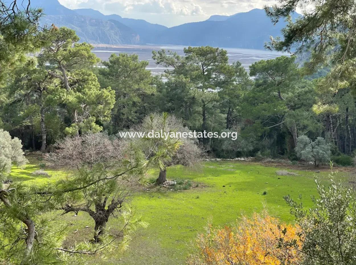 10,707M2 2B Field For Sale With Sea Lake View In Çandır