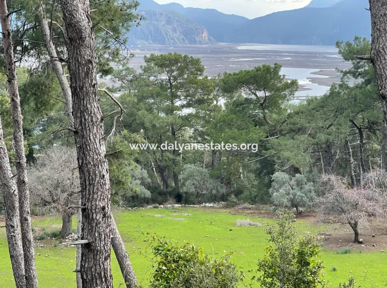 10,707M2 2B Field For Sale With Sea Lake View In Çandır