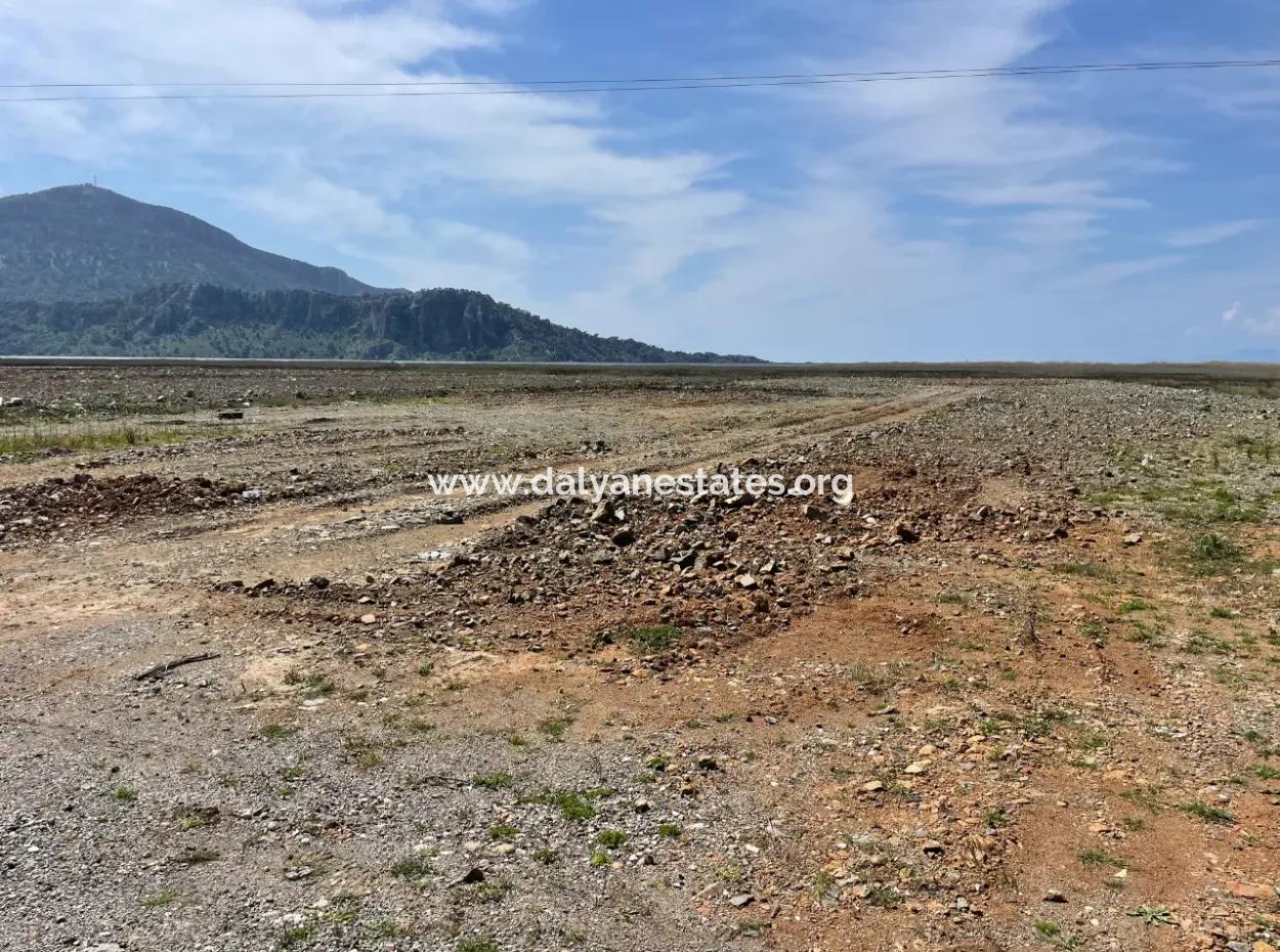 Dalyan Iztuzu Beach Road Zero 19,600M2 Field Land For Sale