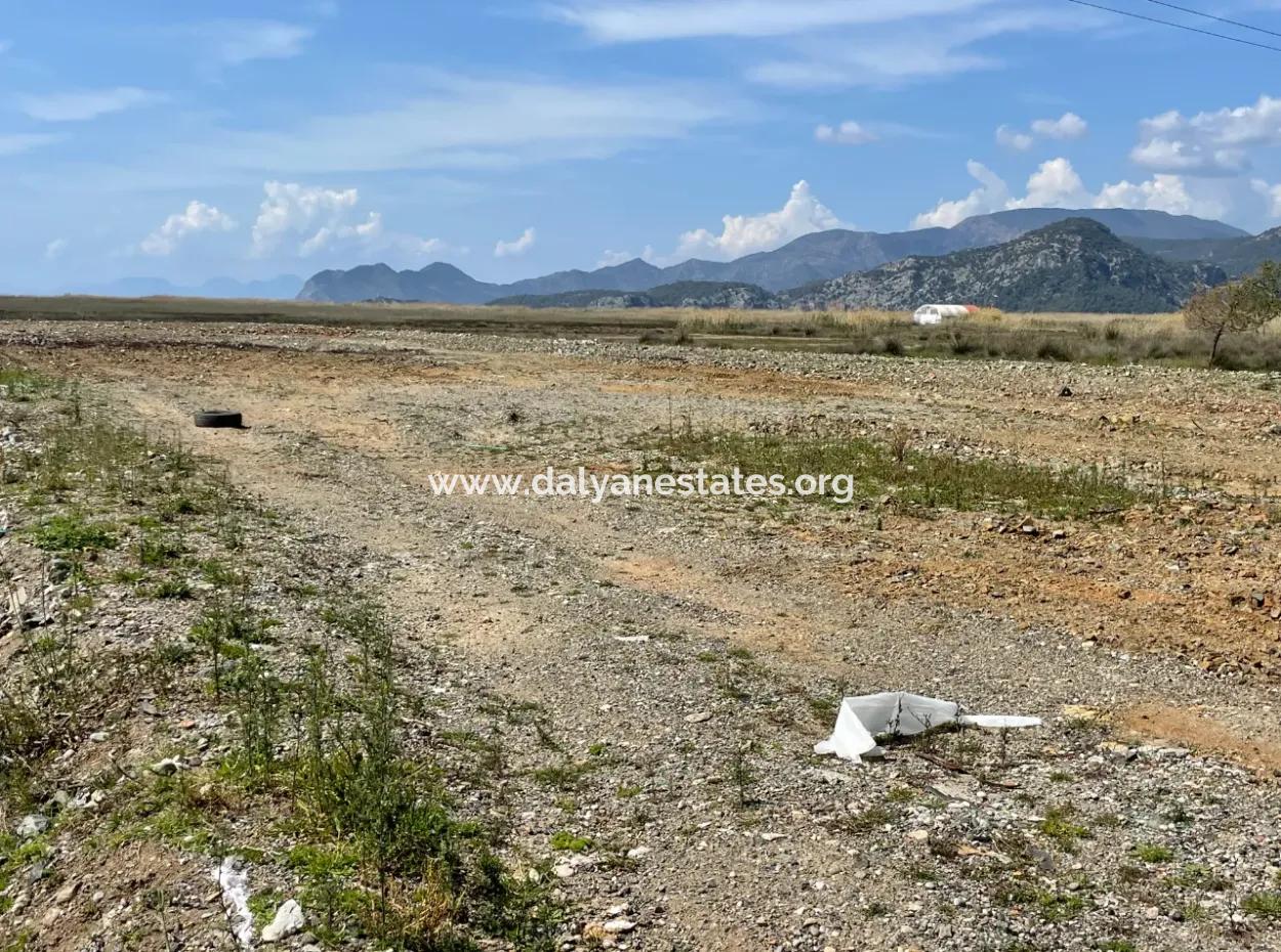Dalyan Iztuzu Beach Road Zero 19,600M2 Field Land For Sale
