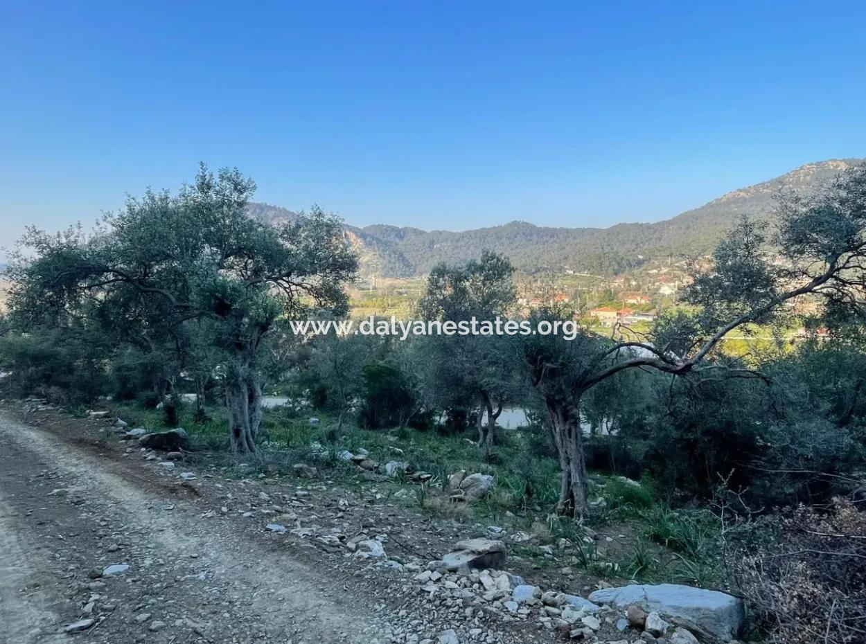 Çandır Lake Sea View 2,806M2 2B Field For Sale