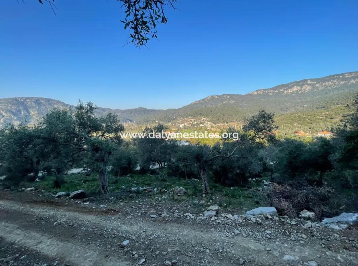 Çandır Lake Sea View 2,806M2 2B Field For Sale