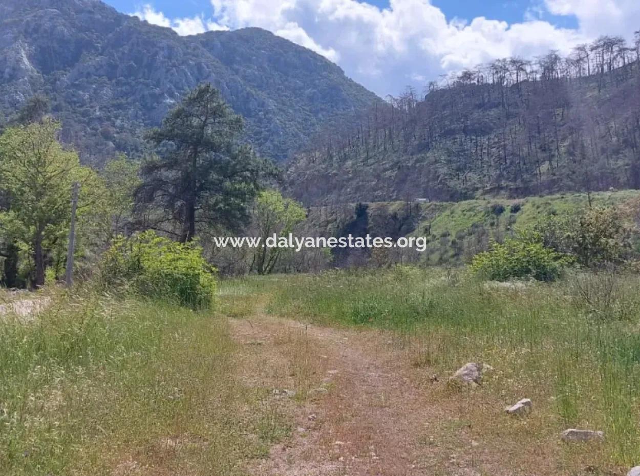 Marmaris Turgut Investment Land For Sale 29600M2 For Sale