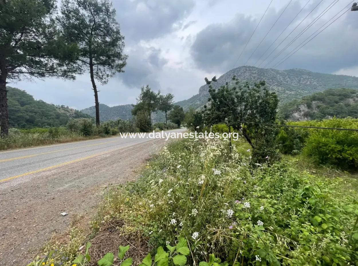 Gökbelde 14,000M2 Field For Sale