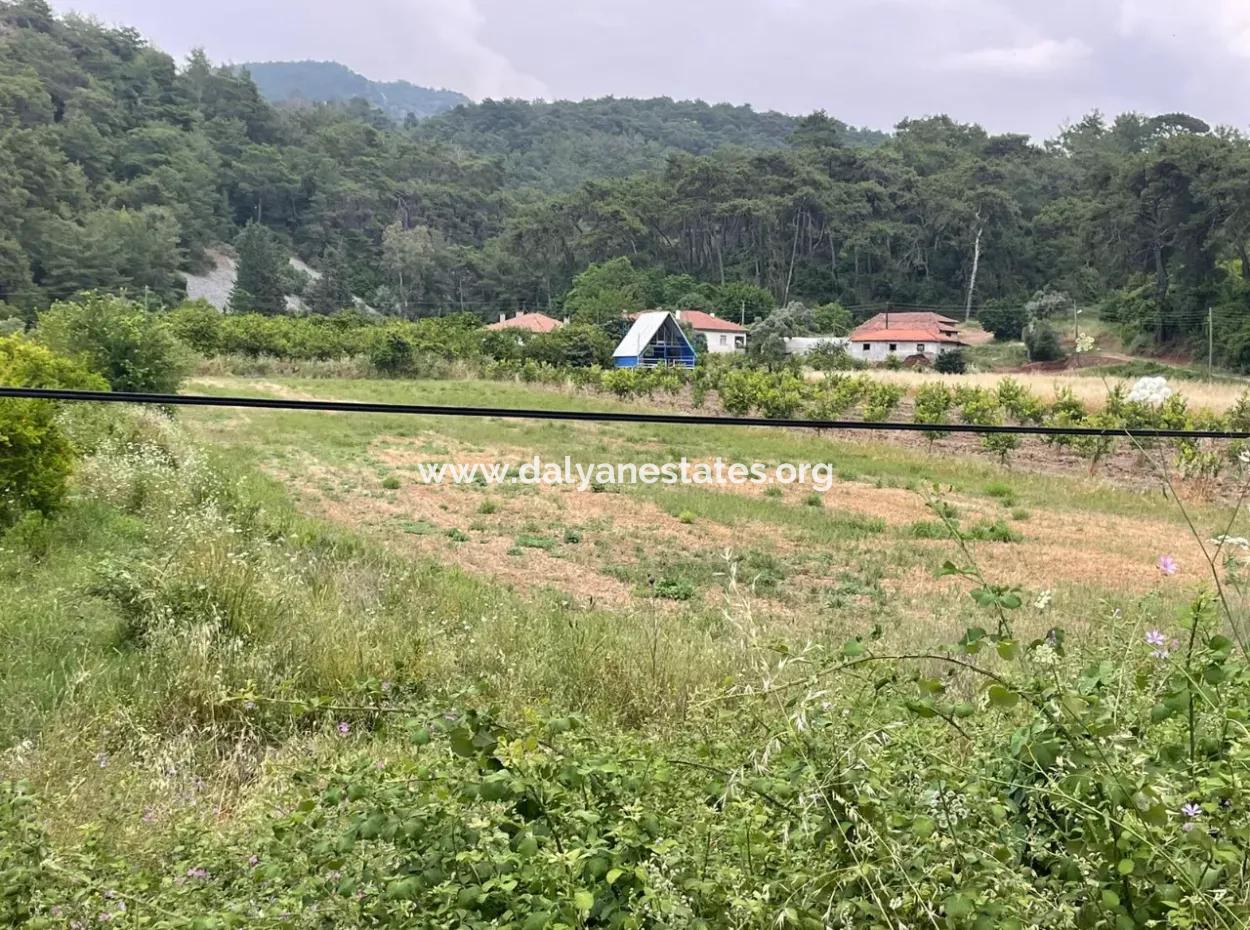 Gökbelde 14,000M2 Field For Sale