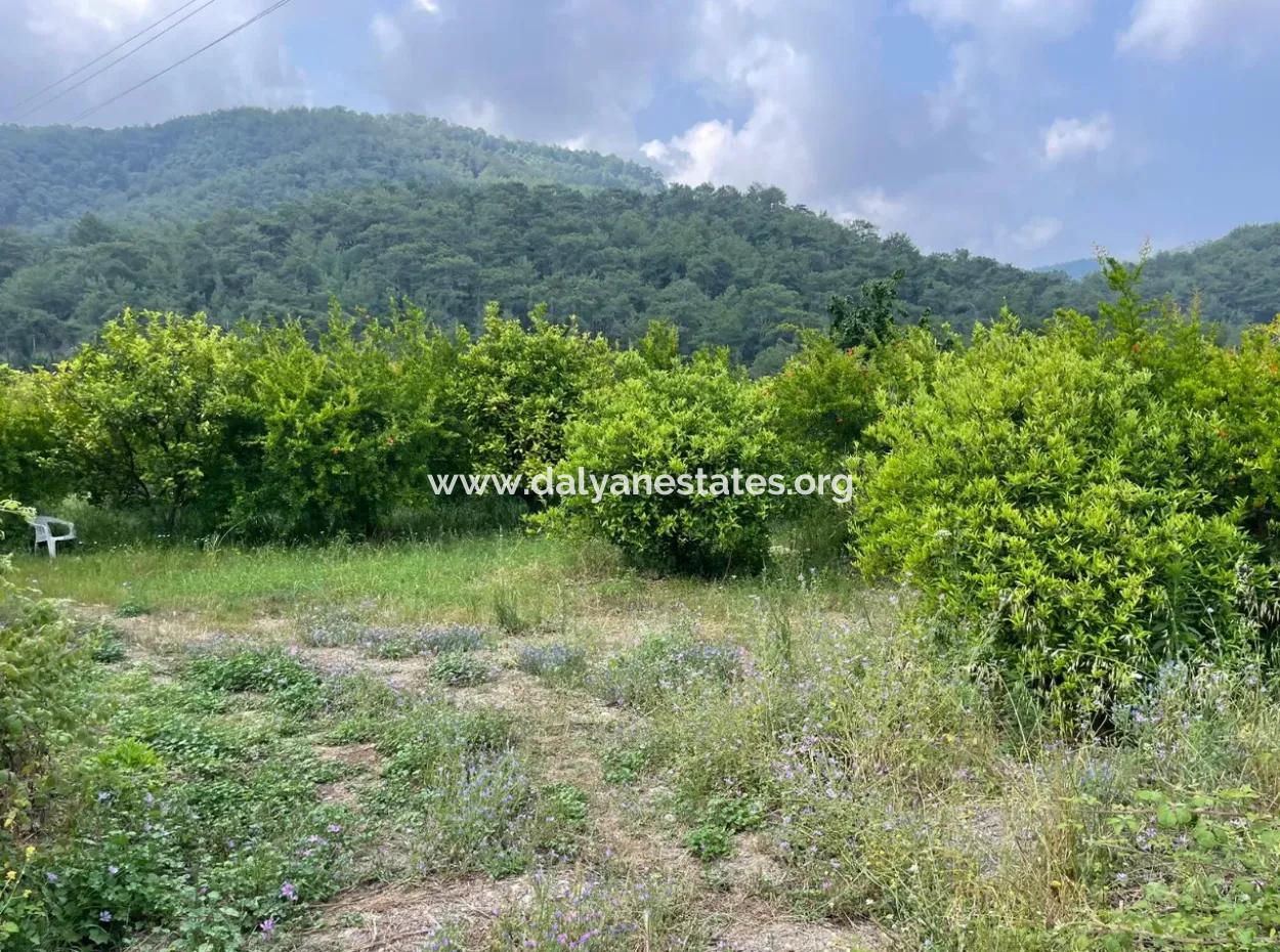 7800M2 Land For Sale At The Beginning Of Iztuzu Beach Road In Gökbel